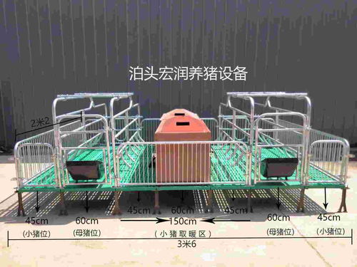 泊頭市宏潤養豬設備廠 專業打造高效養豬設備，助力現代養殖發展
