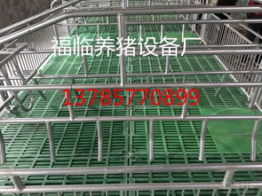 科學(xué)養(yǎng)豬的關(guān)鍵一環(huán) 現(xiàn)代化養(yǎng)豬設(shè)備的發(fā)展與應(yīng)用