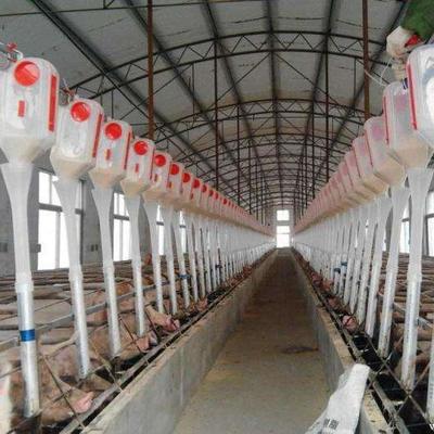 牧幫農牧 專業養殖設備供應商，助力現代化豬場高效運營